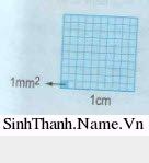 Sự hình thành các quốc gia cổ đại